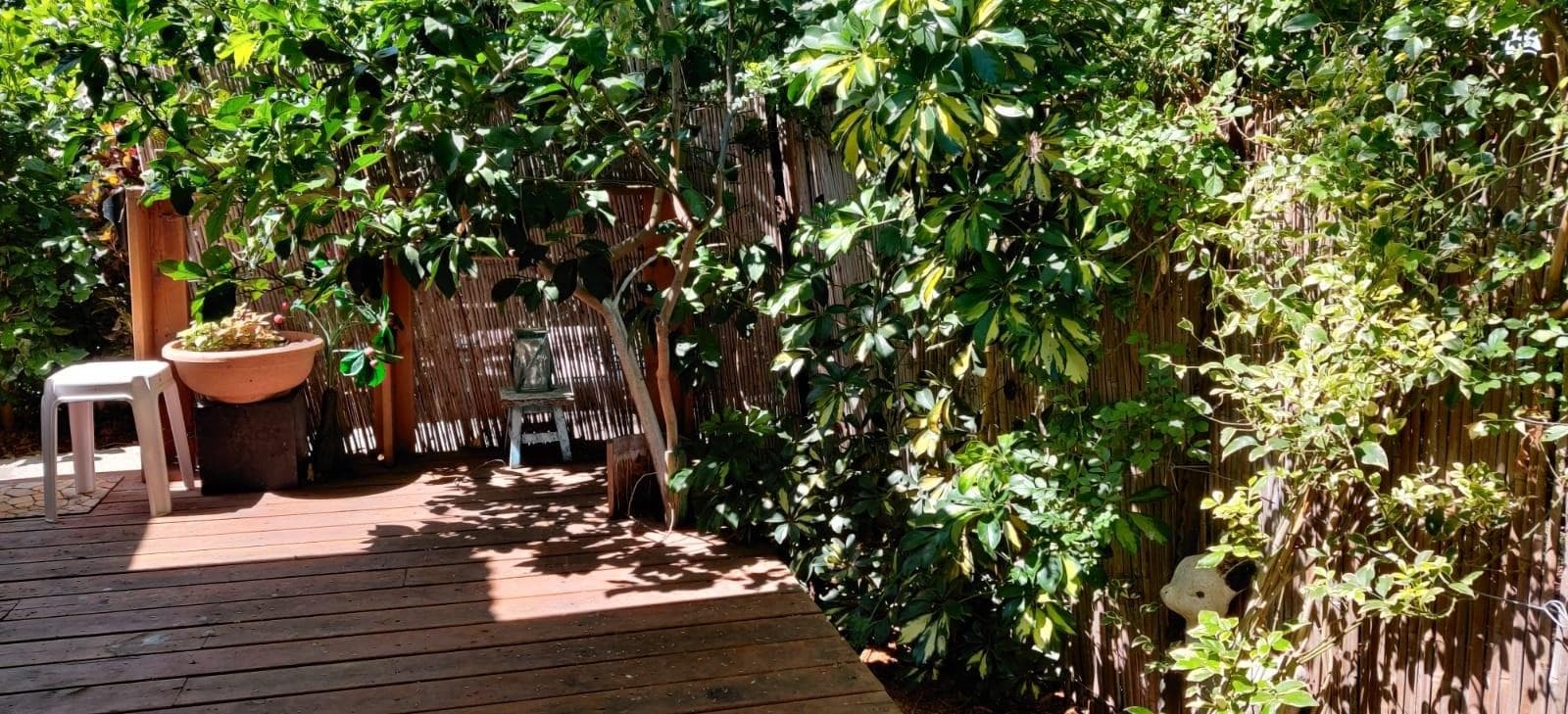 צימר ביו בכפר